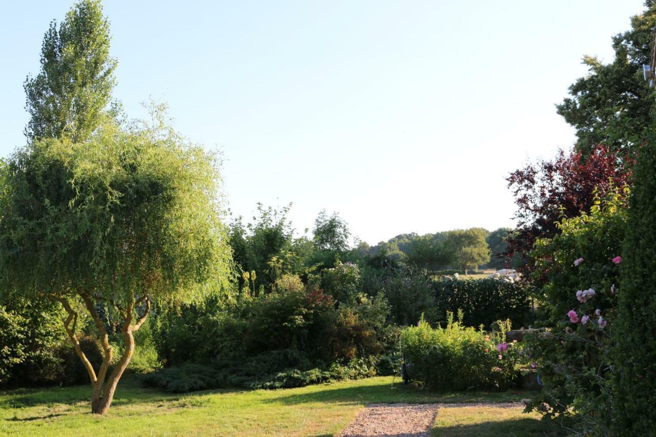 Bed and Breakfast Le Bourgis La Chapelle-Montligeon Exterior foto
